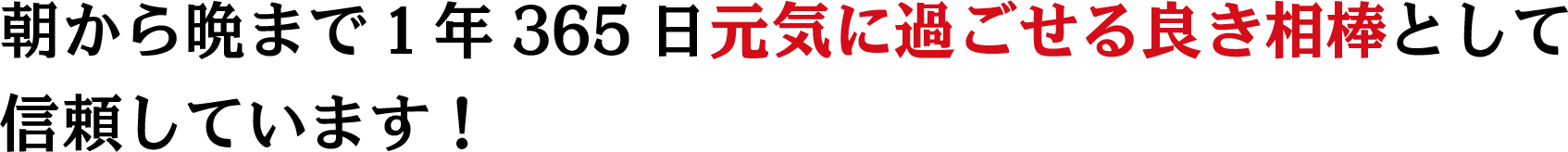 朝から晩まで1年365日元気に過ごせる良き相棒として信頼しています！