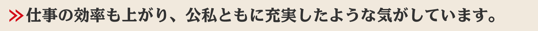 仕事の効率も上がり、公私ともに充実したような気がしています。